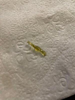 Piece of glass that was in a bean and cheese burrito from Los Favoritos