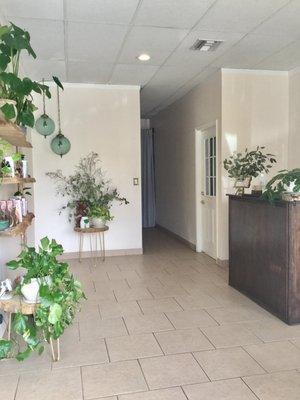 Updated Reception area. Our philosophy is simple, beauty from the insud out, and less is s more, and our green beauty sanctuary reflects it.