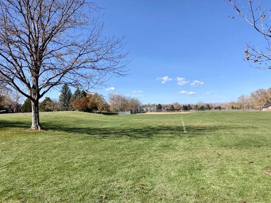 Baseball field and more!