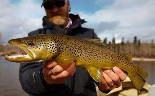 Clark Fork River Fly Fishing