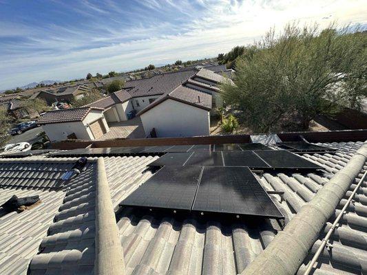 Solar Panels with pigeon proofing