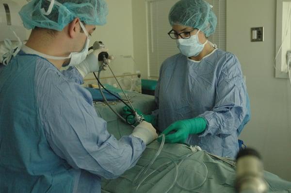 Diagnostic Laparoscopy