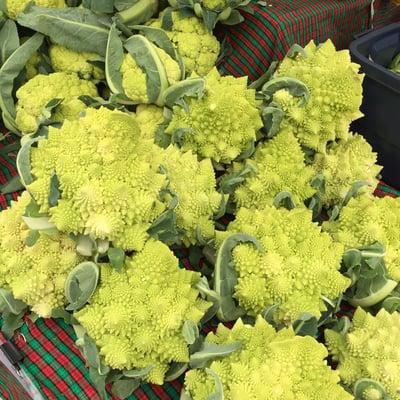 Romanesco love it