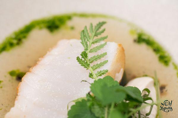 Monkfish | Mussel Dashi