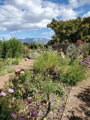 Garden view during tasting