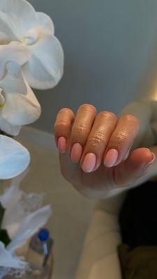 Russian gel manicure