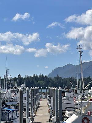 Beautiful stop at Tongass docks.