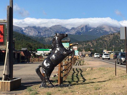 Our mascot! The Wild Horse, which is also one of many of our aluminum statues!