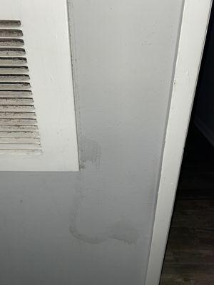 Water stain turning into mold