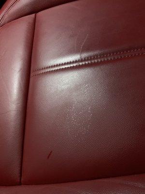 Glitter seat