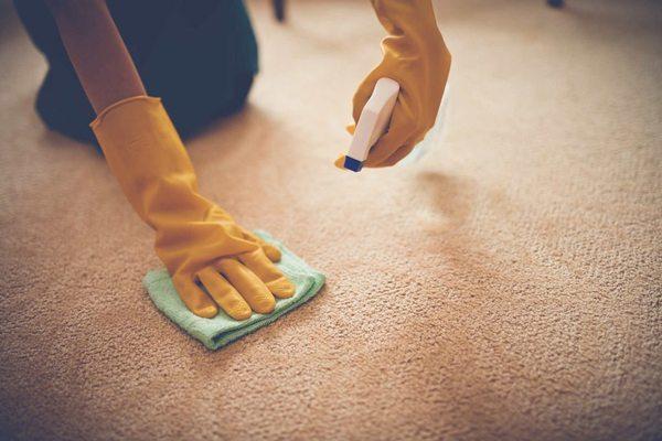 Carpet Cleaning Service