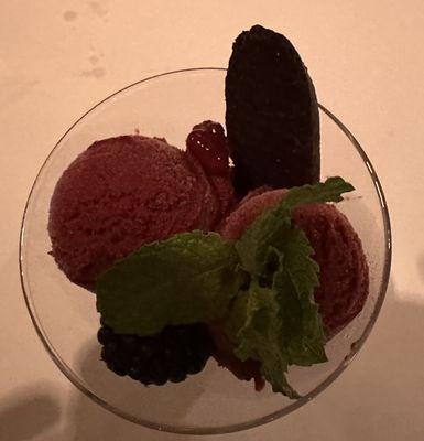 Mixed Berry Sorbet