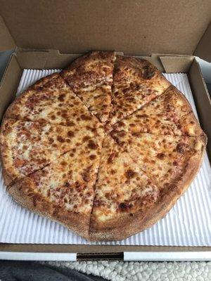 The large cheese pizza