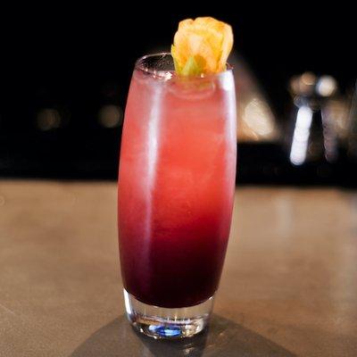 GIN-N-JUICE - gin, raspberry, hibiscus, grapefruit, soda water