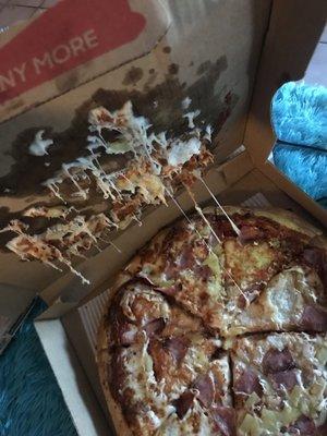 This place is terrible. This is how I received my pizza. I will never order from here again.