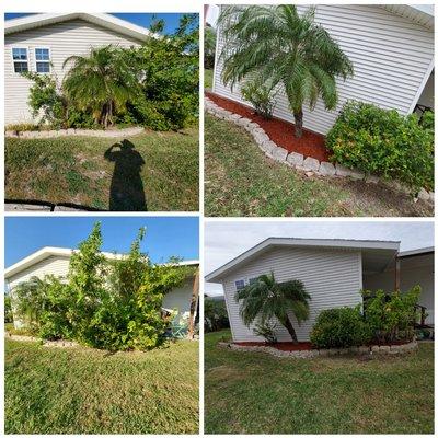 Garden bed Renovation x Red mulch