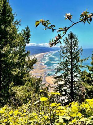 Oregon coastal highway