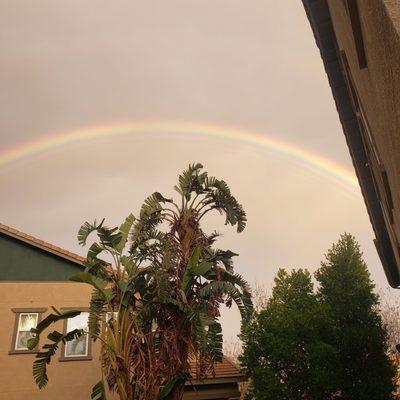 Rainbow  over the City.