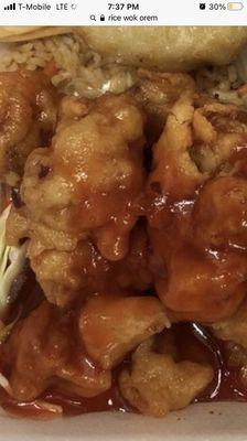 Nasty Orange Chicken (the sauce is red in color due to added unsafe coloring, and the chicken is gross.