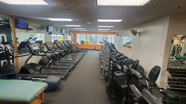 Cardio section; treadmills and elliptical machines