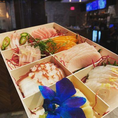 Premium sashimi boxes