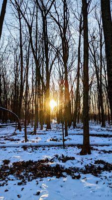 Glacier Ridge Metro Park