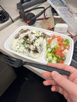 Gyro plate