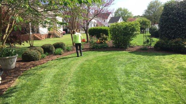 Lawn mowing, Trimming and Edging. Weekly or Bi Weekly