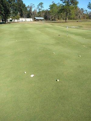 Rolled out a few - practice green looks super quick, but don't roll too fast - yet -