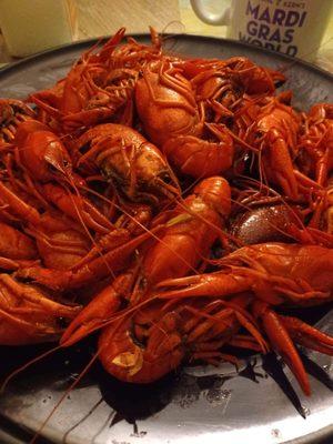 Crawfish