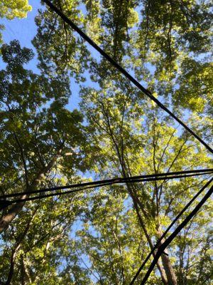 Silver Lake State Park - campground view