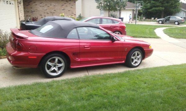 1998 Mustang Cobra