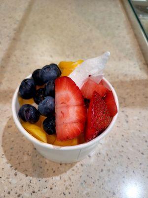 Child Froyo with 3 toppings of fresh fruit