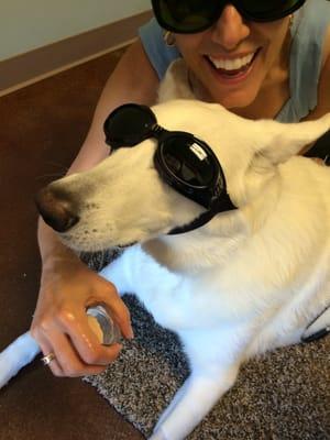 This is Tacy's most recent laser treatment  she loves Dr. Amy and chicken treats!!