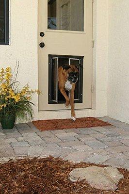 PlexiDor Dog Doors