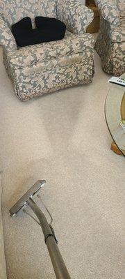 BBO Professional Carpet Cleaning