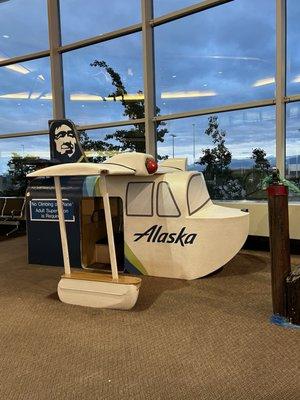 Alaska airline photo opt