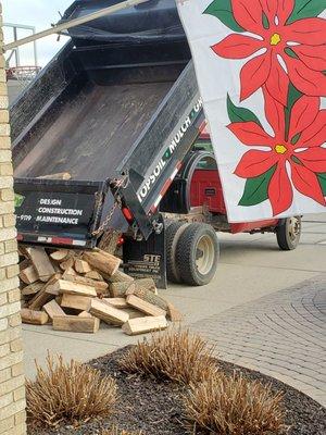 Dumping the face cord of mixed seasoned firewood= $85.00 ~  12/5/2020