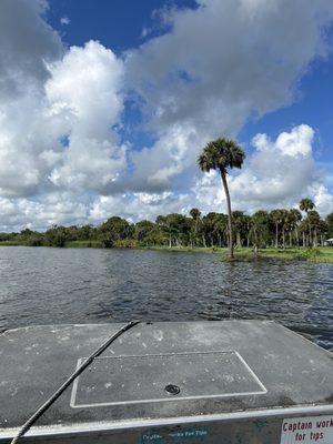 Airboat ride