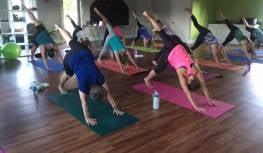 Vinyasa Yoga Classes