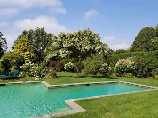 Peaceful colorful summer pool setting