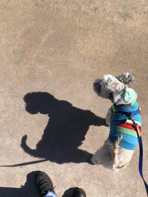 Standing on the concrete circle with a fire hydrant, in the center of the park!