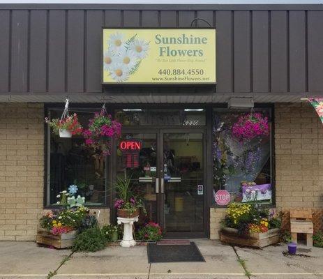 Sunshine Flowers specializes in creating customized floral arrangements to help transform your feelings into Symbols of Sincerity.