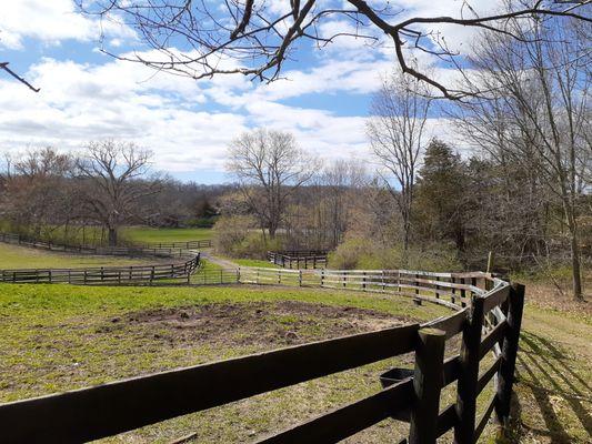 MidFir Farm New York Horseback Riding