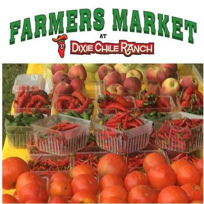 Saturday mornings from June through the end of October at the  FARMERS MARKET at DIXIE CHILE RANCH (3135 E. Union Grove Rd, Kenton, TN 38233