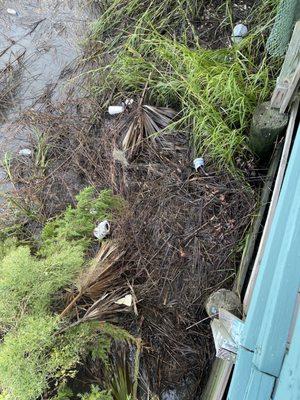 Trash from the restaurant enters the water.    Guarantee you there's nobody there that cares