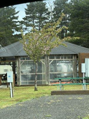 Gazebo for group rental