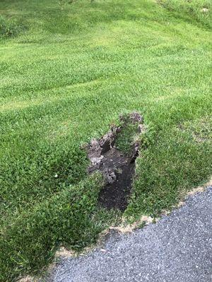 This shows the direction of the vehicle backing into our driveway and going off the pavement.