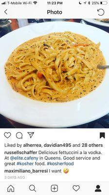 Delicious fettuccine a la vodka.