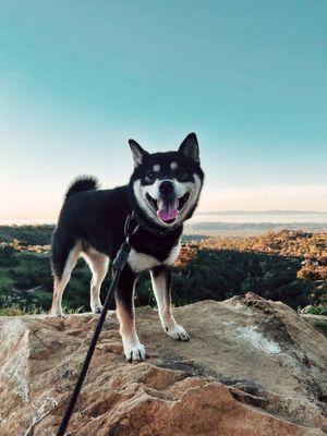 Rock and view at the end of trail. Dog friendly.